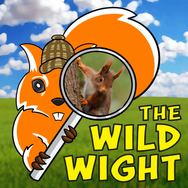 The Wild Wight logo